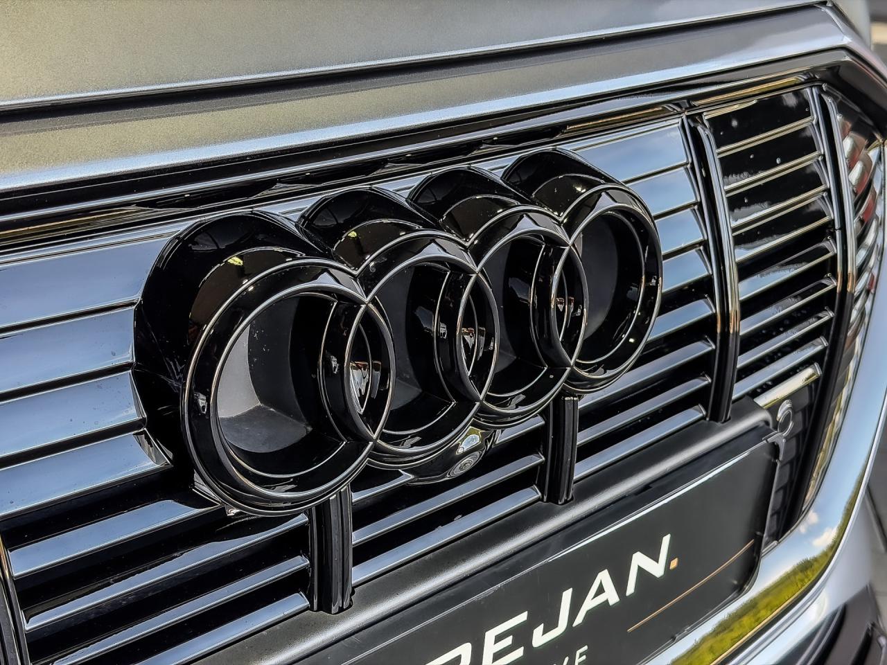 Audi e-tron 55 Quattro Advanced Pro Line Plus 95 kWh | Audi occasion